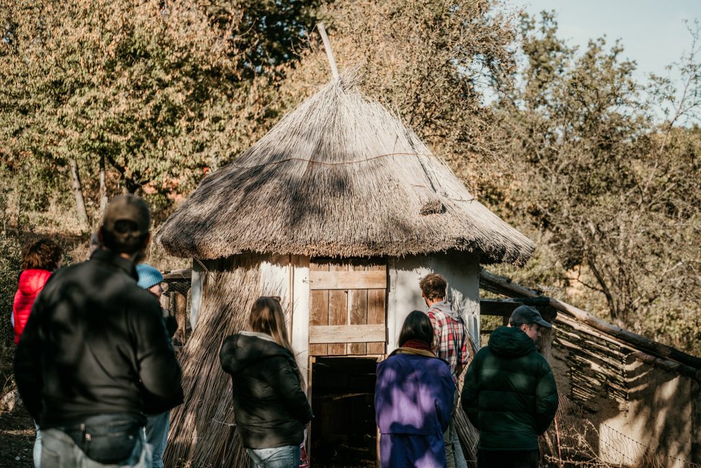 schell_gergely_pszichologus_mome_mag_kulteri_oktatas_outdoor_education (3)